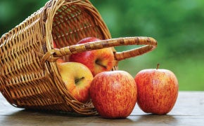 Manzana, la fruta del paraíso Manzana, la fruta del paraíso