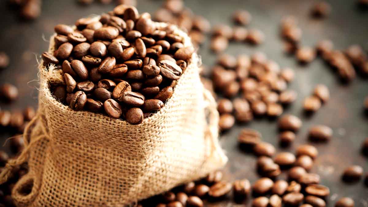 compacto despensa Lágrima Celebra el Día Internacional del Café | Recetas Nestlé