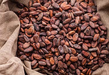 Granos de cacao, un alimento amargo.