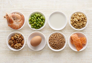 Ingredientes con proteínas, legumbres clasificación alimentos