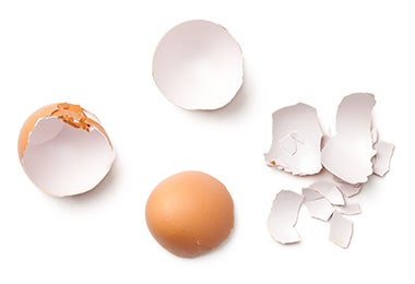 Cáscara de huevo residuo que si va en la composta  