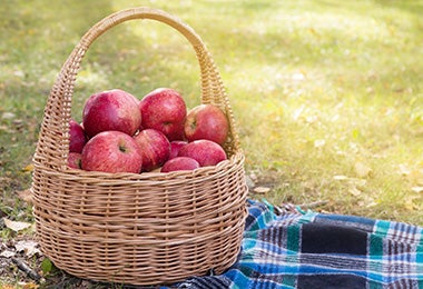 Frutas en canasta de picnic 