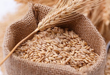 Qué es la sémola de trigo