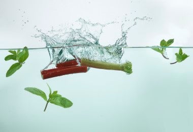 Tallos de ruibarbo sumergidos en agua con hojas de menta fresca flotando alrededor