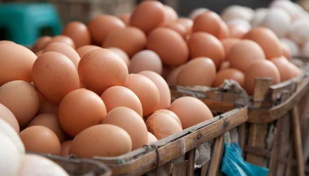 Huevos en un mercado local, sustitutos de huevo.   