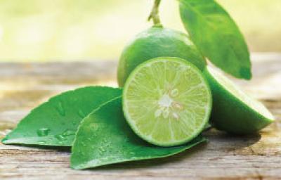 Trucos caseros para los usos del limón Trucos caseros para los usos del limón