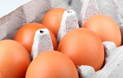 Huevos en cubeta/empaque de cartón