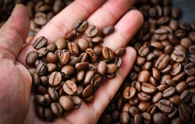 Granos de cafe Granos de cafe