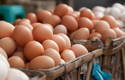 Huevos en un mercado local, sustitutos de huevo.   