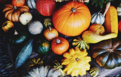 Variedad de tipos de calabaza para cocinar y decorar Variedad de tipos de calabacita y calabazas en diferentes tamaños y colores