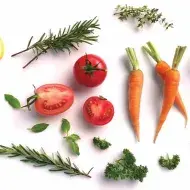 Alimentos para sembrar en huerta casera 