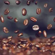Granos de café