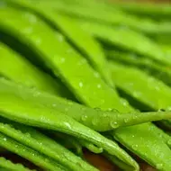 Vainitas verdes frescas Vainitas verdes frescas