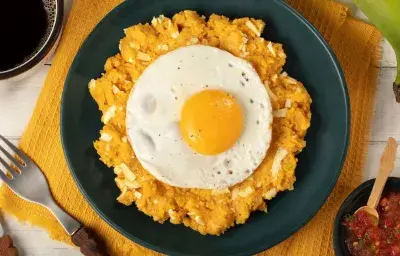 Tigrillo Nutritivo Tigrillo Nutritivo