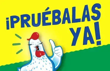 Maggi La Sazon