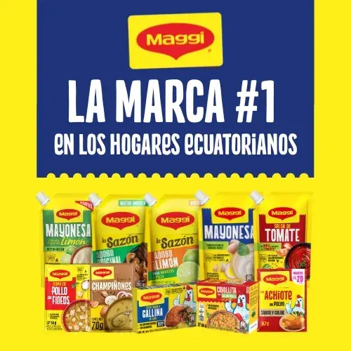 Banner productos MAGGI
